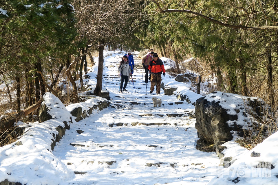 游客登山畅游。 陈硕 摄