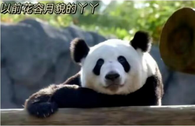 QQ截图20230309144345.jpg