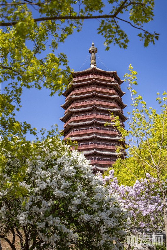 4月7日，群花簇拥着园博园永定塔。