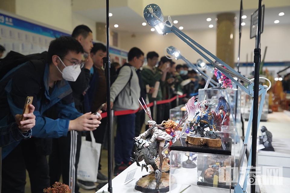 现场展出的模型吸引观众。 中宏网记者 富宇 摄