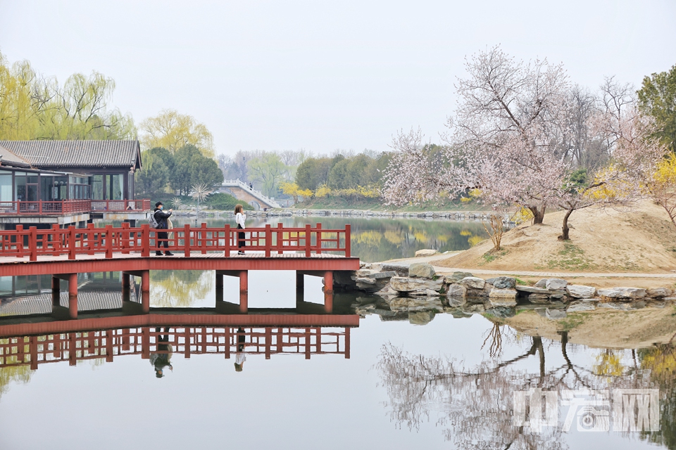 圆明园大量仿建了中国各地特别是江南的许多名园胜景，园林造景多以水为主题。