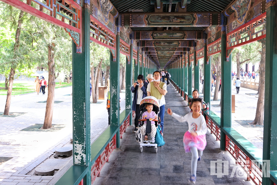 5月12日，北京颐和园花红柳绿令人心旷神怡，吸引众多游客前来观光游览。 陈硕 摄