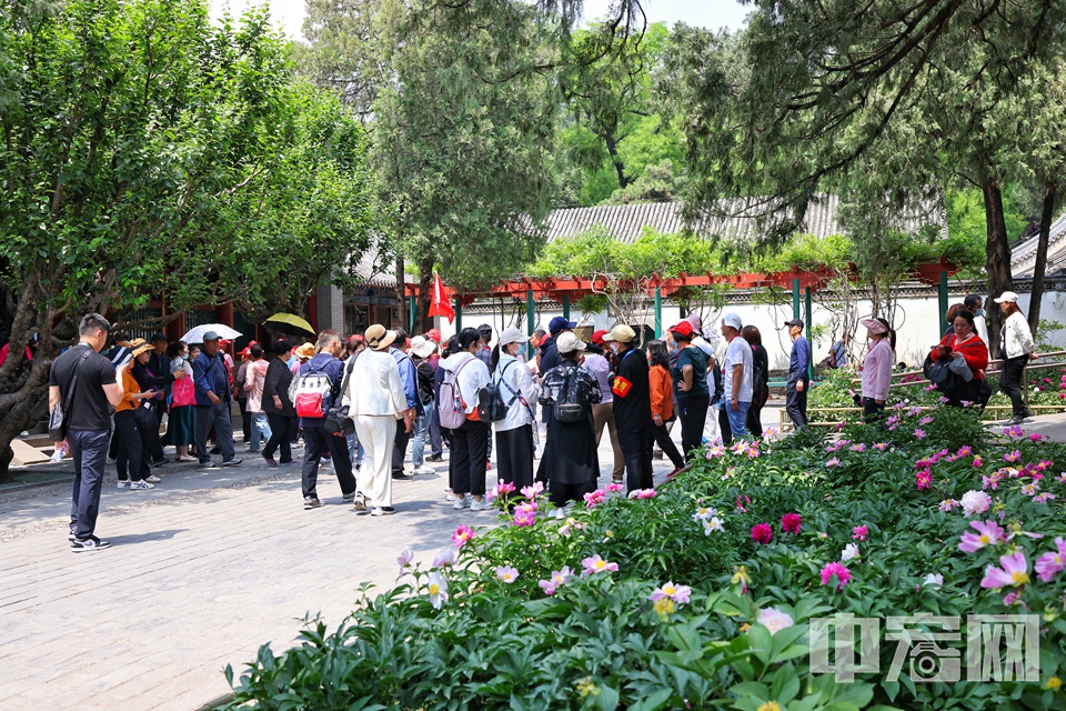 5月12日，北京颐和园花红柳绿令人心旷神怡，吸引众多游客前来观光游览。 陈硕 摄