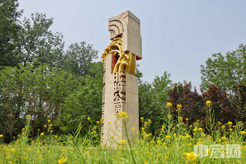 金灿灿的油菜花散落在公园四处，蓝天、白云、花海、小桥、流水、栈道……构成一幅诗意的田园风景画。5月15日，微风中，海淀北坞公园成片的油菜花微微律动。漫步在花海间，可以看到成群的蜜蜂在花丛中飞舞，市民游客享受着迷人风景，纷纷按下相机快门，拥抱这抹属于夏季的活力色彩。陈硕 摄