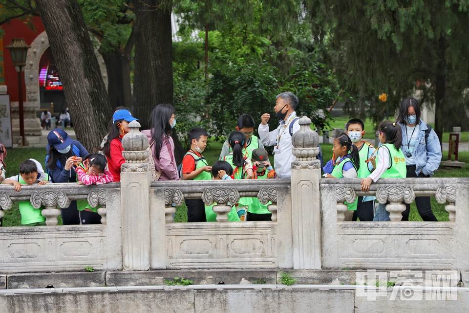 5月20日，北京国子监内参观者络绎不绝。 陈硕 摄