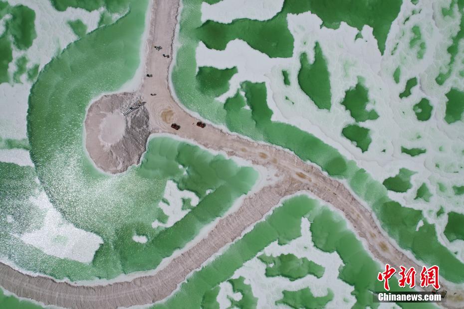夏日，位于青海海西州茫崖市花土沟镇的翡翠湖宛如色彩绚丽的油画被描绘在苍茫的柴达木盆地上，淡青、翠绿、深绿色的湖水如碎玉散落在大漠戈壁上，充满生机。茫崖翡翠湖南依昆仑山，北靠阿尔金山，总面积约26平方公里，属于硫酸镁亚型盐湖，由于所含矿物质浓度的不同，致使湖面颜色深浅不一。18日，由中新社青海分社，青海省海西州茫崖市委、茫崖市人民政府共同主办的“赴苍茫之崖品人间烟火”青海·茫崖2023美食大会在茫崖市正式启动。近日，活动团队来到茫崖翡翠湖进行拍摄采风。图为色彩绚丽的翡翠湖。祁妙 摄