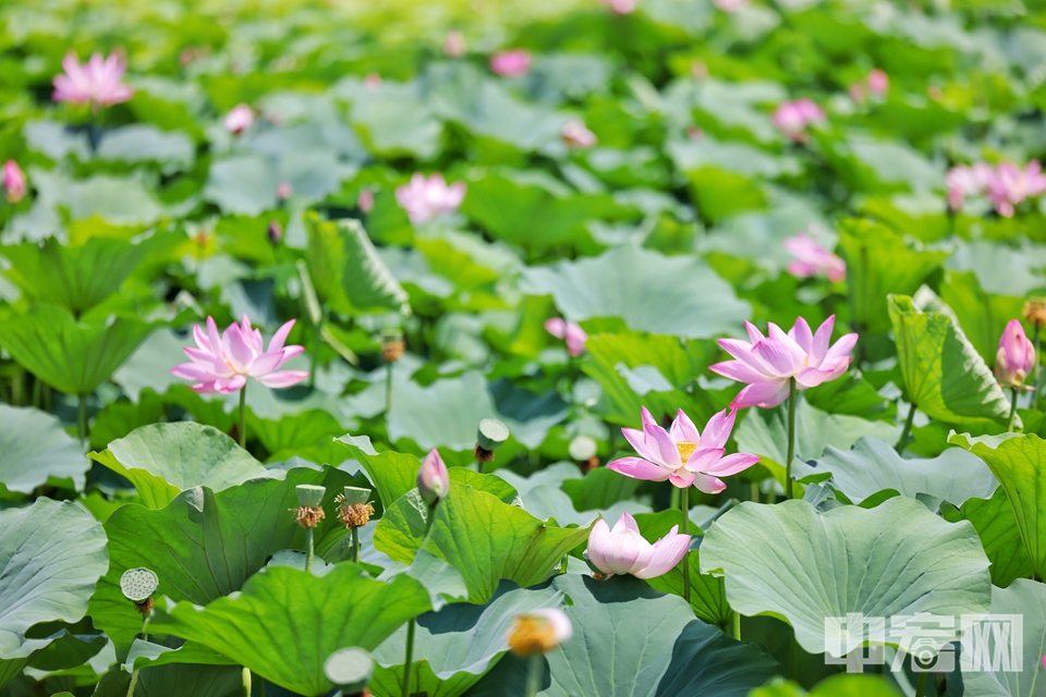 精品风景图片图片