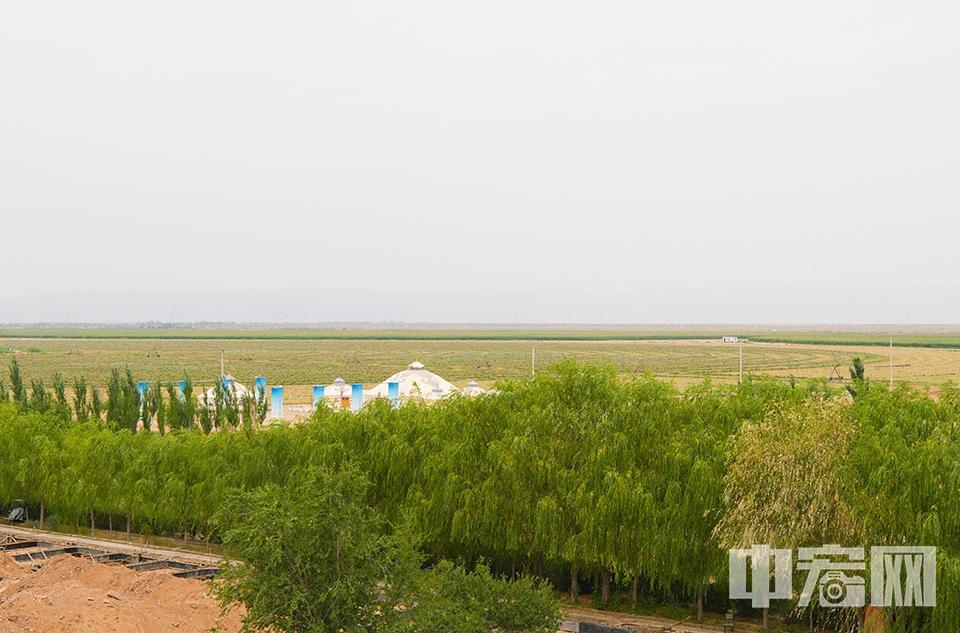 在沙漠“战天斗地”的刘文光有一个心愿，乌兰布和沙漠总面积1万平方公里，圣牧治理了十多年，22万亩沙漠成为优良草场，200平方公里的沙漠披上绿装。“我们一直继续治理下去，总有一天可以让乌兰布和沙漠在地球上消失。” 中宏网记者 富宇 摄