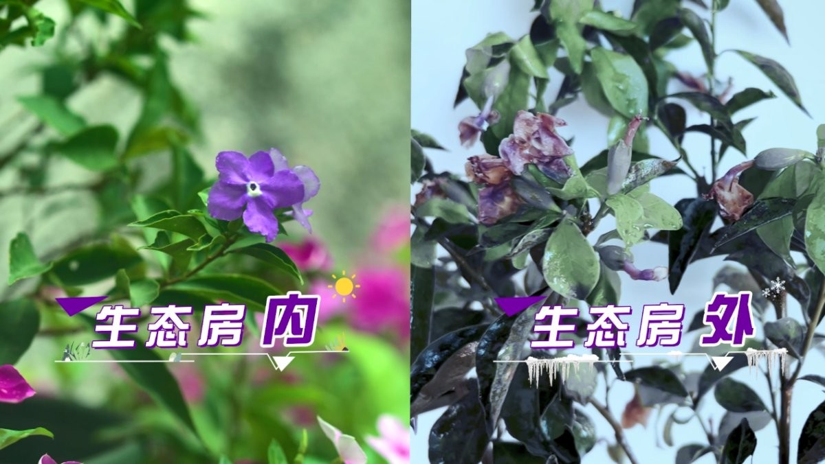 c1e2dc514382716db7a2873ec0136fbe_1695877092219.jpeg