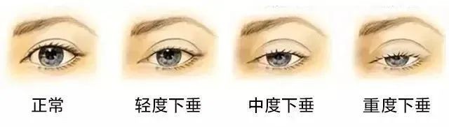 9ff597ea0c8751ebd1ce109b81474f4a_2310231131111454513300.jpeg