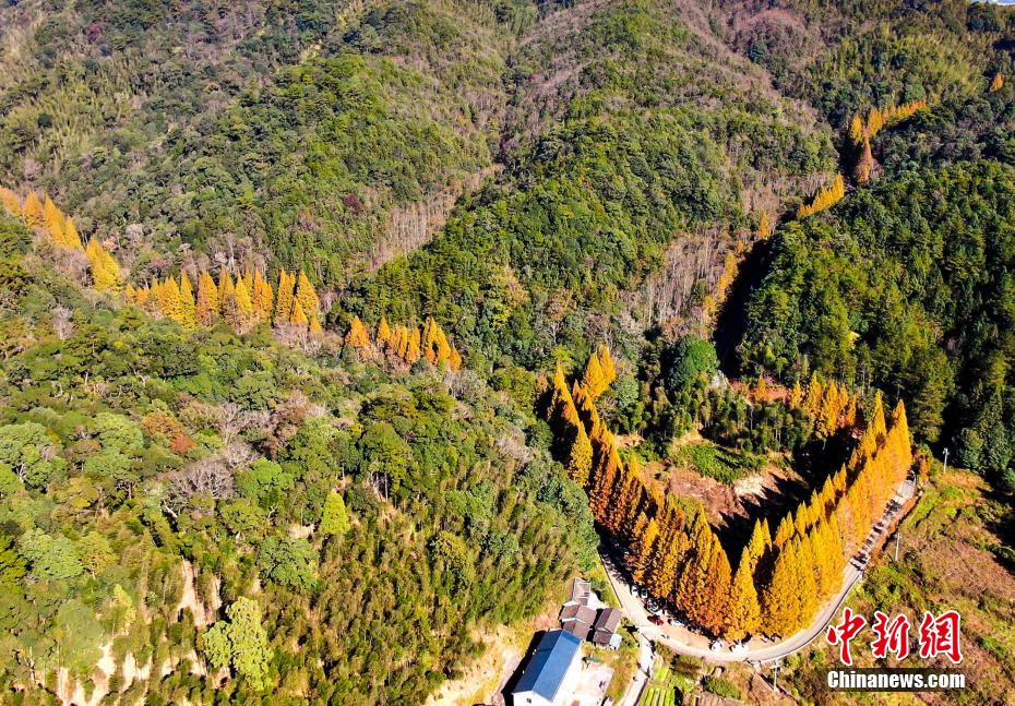 龙栖山自然风景区简介图片