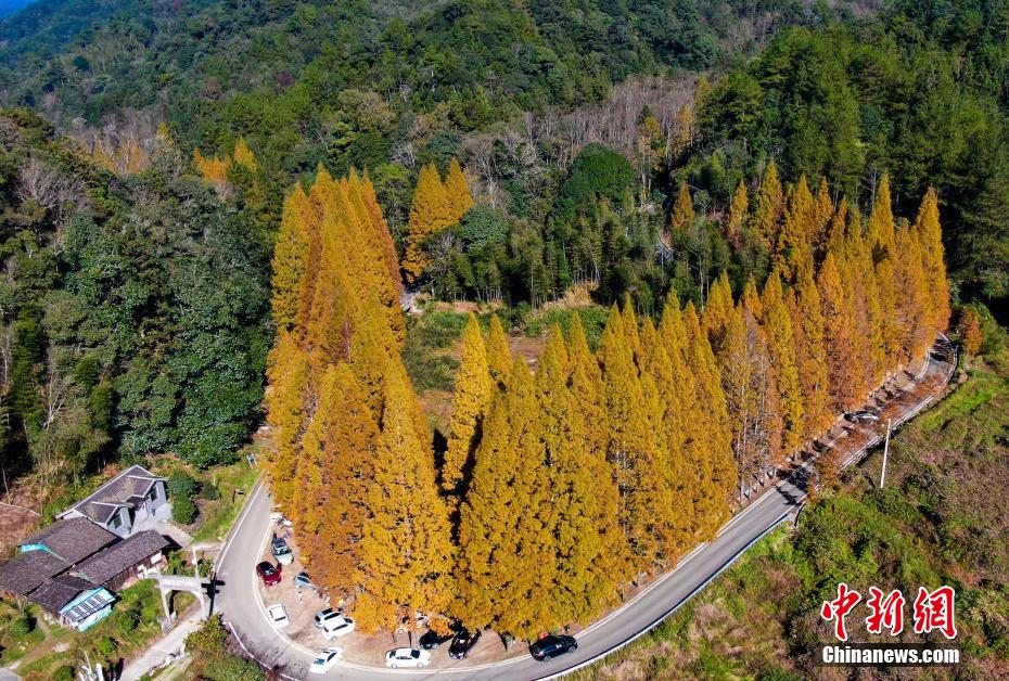 龙栖山自然风景区简介图片