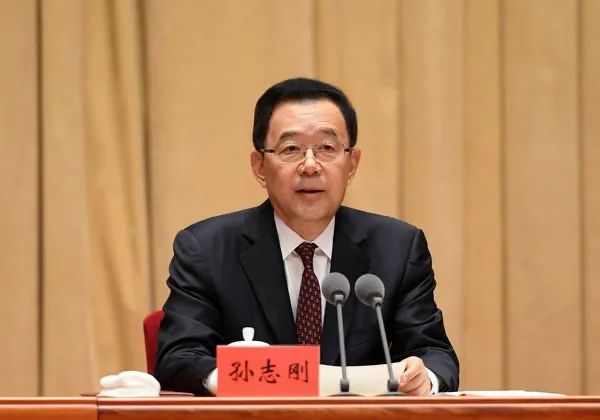 孙志刚.jpg
