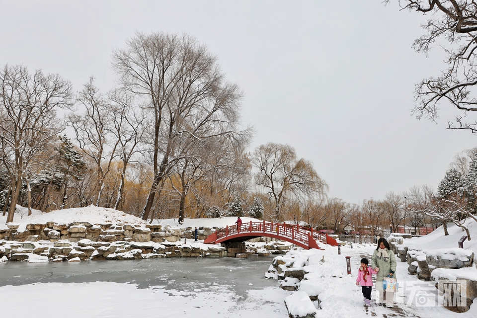 2月21日，龙年首雪过后，北京圆明园红墙古建为景，与雪花相得益彰，如诗如画。