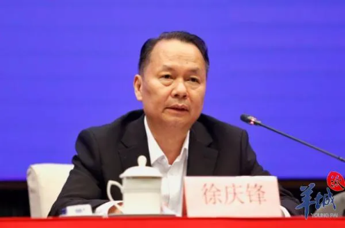 徐庆锋.png