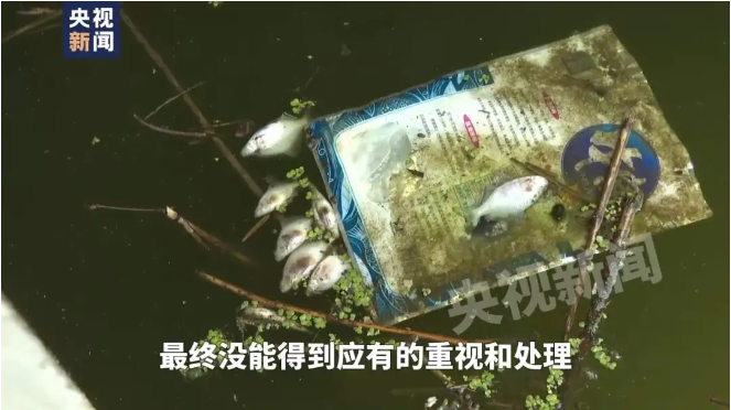 QQ截图20240529171927.png