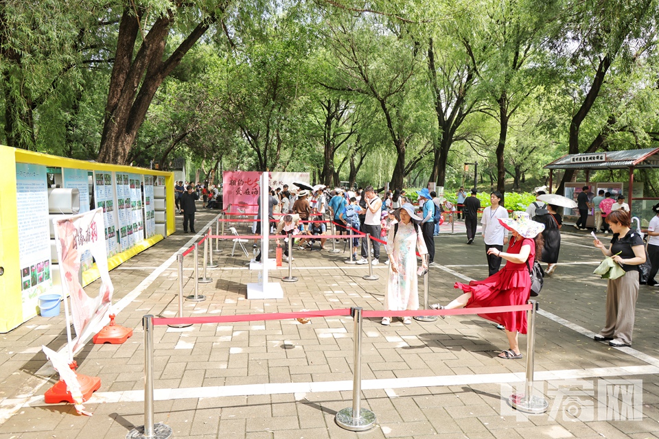 游客在圆明园内欢度七夕。 陈硕 摄