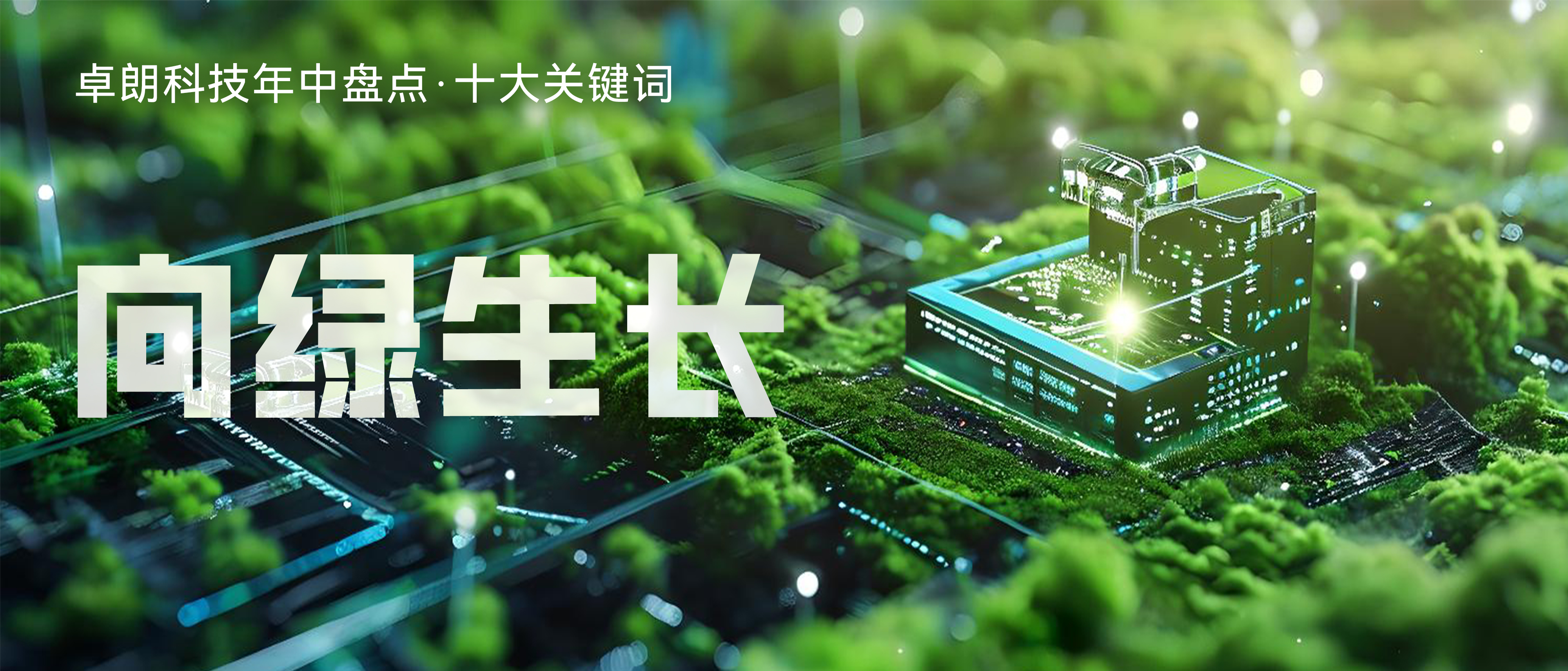 向绿生长.jpg