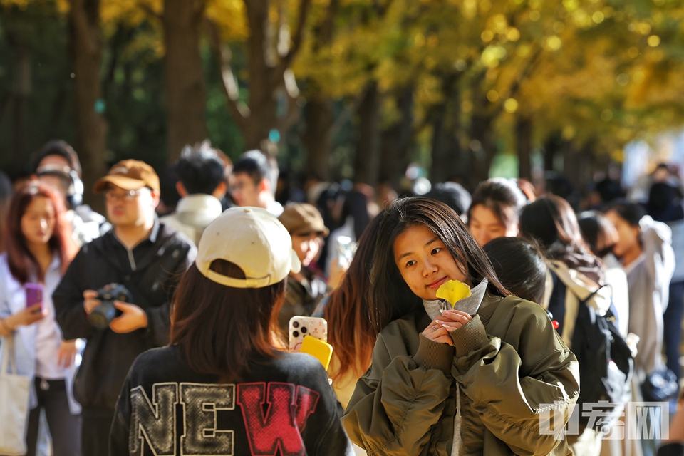 銀杏黃得熱烈，楓葉紅得耀眼，兩棵樹(shù)相互依偎著，從地壇北門外望去形成了一個(gè)雙色愛(ài)心，不少市民游客紛紛到此打卡拍攝……11月3日，秋風(fēng)輕拂，北京地壇公園迎來(lái)了最為絢爛的時(shí)刻。銀杏葉如同金色的海洋，在秋陽(yáng)的映照下熠熠生輝。目前，園中正在舉辦第十屆地壇銀杏文化節(jié)，為游客呈現(xiàn)一場(chǎng)視覺(jué)盛宴。金秋花園城市市集、攝影比賽等多個(gè)板塊，確保每位參與者都能享受到多元文化的體驗(yàn)，感受到花園城市的溫暖與美好。陳碩 攝