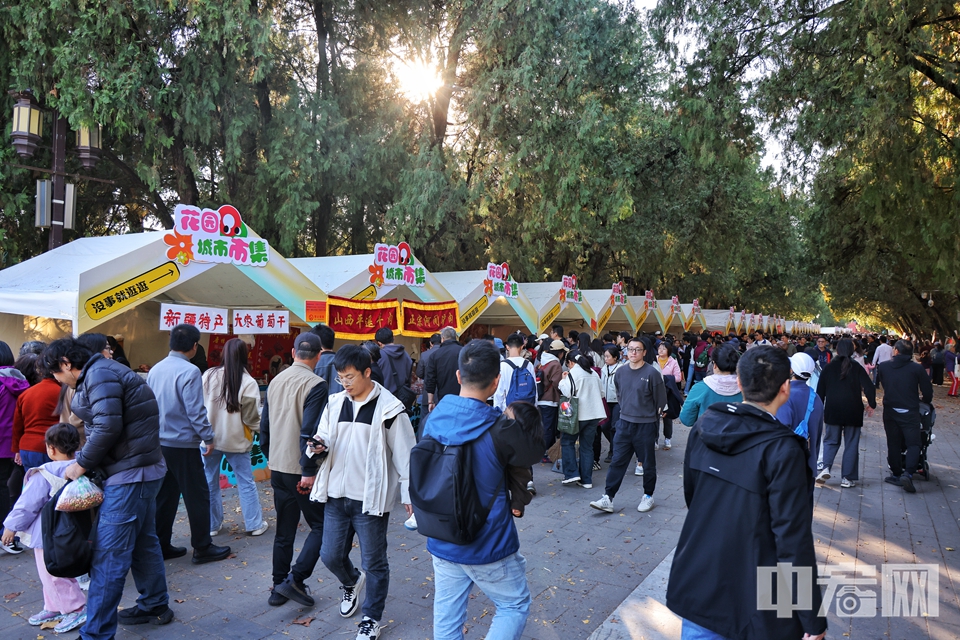 銀杏黃得熱烈，楓葉紅得耀眼，兩棵樹(shù)相互依偎著，從地壇北門(mén)外望去形成了一個(gè)雙色愛(ài)心，不少市民游客紛紛到此打卡拍攝……11月3日，秋風(fēng)輕拂，北京地壇公園迎來(lái)了最為絢爛的時(shí)刻。銀杏葉如同金色的海洋，在秋陽(yáng)的映照下熠熠生輝。目前，園中正在舉辦第十屆地壇銀杏文化節(jié)，為游客呈現(xiàn)一場(chǎng)視覺(jué)盛宴。金秋花園城市市集、攝影比賽等多個(gè)板塊，確保每位參與者都能享受到多元文化的體驗(yàn)，感受到花園城市的溫暖與美好。陳碩 攝