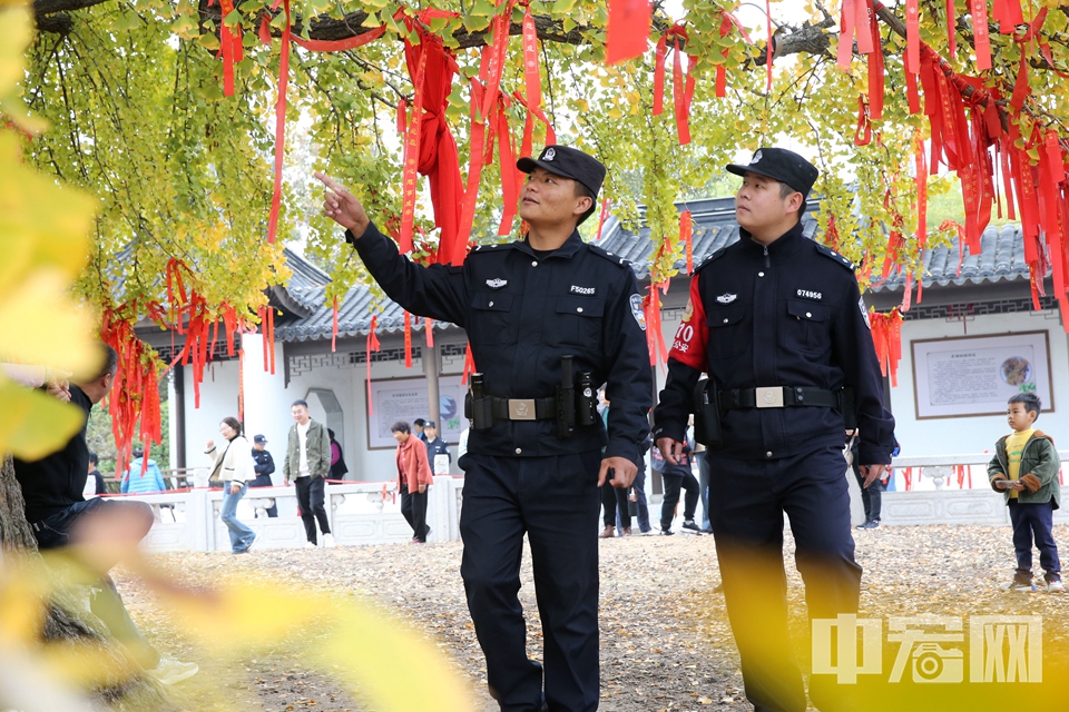 立冬以来，山东省临沂市郯城县新村银杏开发区三千年古银杏树一片金黄，吸引大批游客前来拍照打卡。郯城县公安局新村派出所民警结合景区游客增多的实际，积极开展“反诈宣传进景区”活动，有效提高了景区游客的防诈安全意识。 李结义 摄