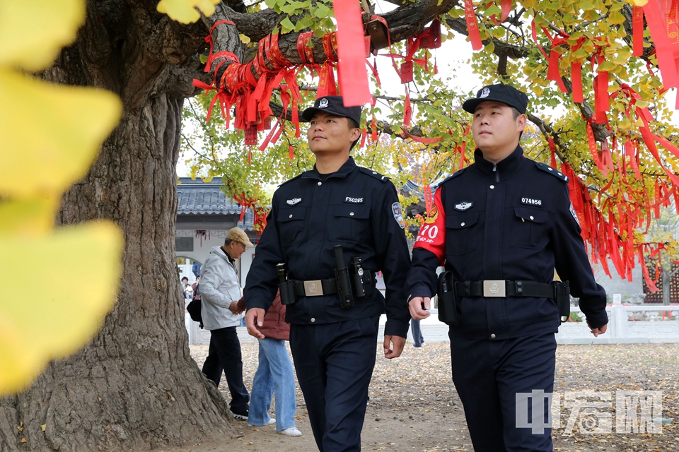 立冬以来，山东省临沂市郯城县新村银杏开发区三千年古银杏树一片金黄，吸引大批游客前来拍照打卡。郯城县公安局新村派出所民警结合景区游客增多的实际，积极开展“反诈宣传进景区”活动，有效提高了景区游客的防诈安全意识。 李结义 摄