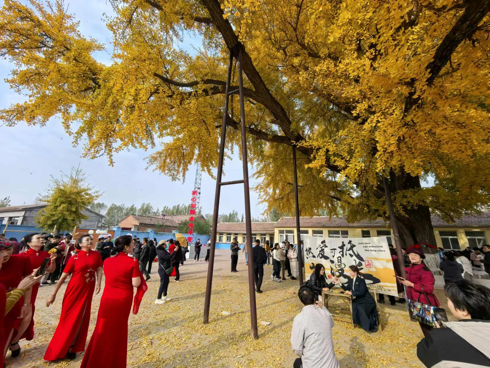 微信图片_20241112210157.jpg