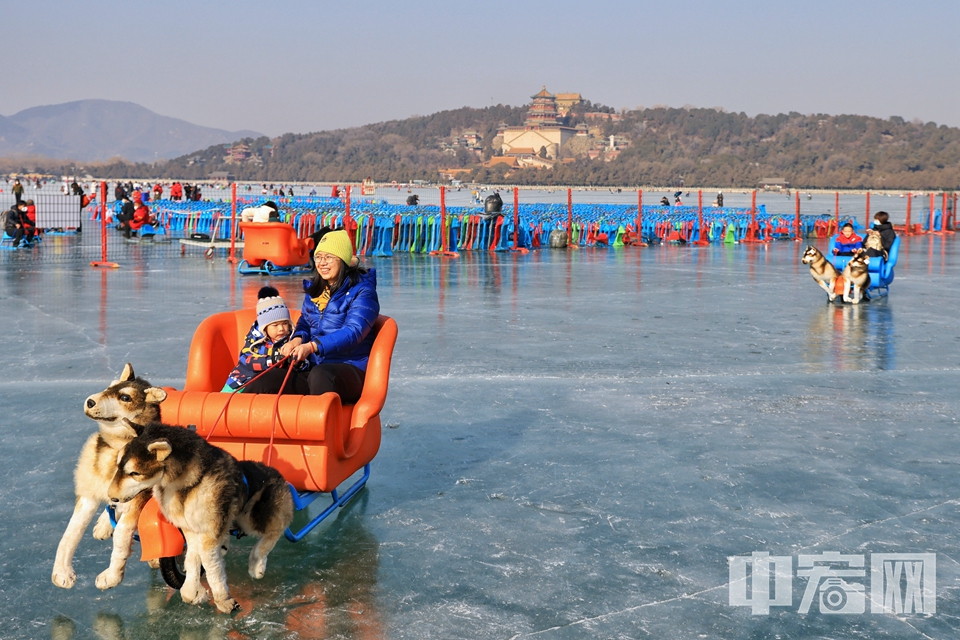 市民在頤和園冰場乘坐“狗拉雪橇”。 陳碩 攝