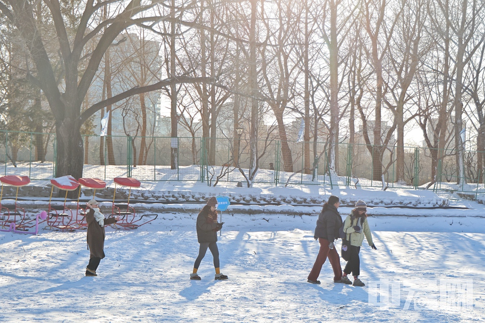 玉渊潭公园第十六届冰雪嘉年华现场。 陈硕 摄