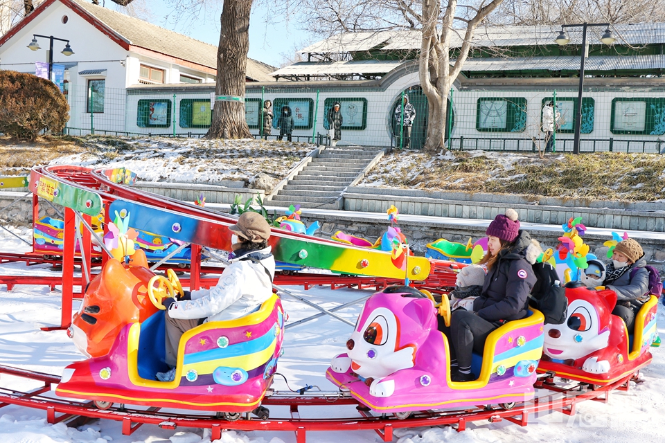 12月27日，“快乐冰雪 相约紫竹”紫竹院公园第八届欢乐冰雪季活动拉开帷幕。公园延续了2.7万平方米的雪场面积，并在保留深受市民喜爱的冰滑梯、雪上飞碟等经典冰雪娱乐项目的基础上，新增了雪地斗牛项目，还特别引入了企鹅观赏项目，为冰雪季增添了更多欢乐与趣味。陈硕 摄