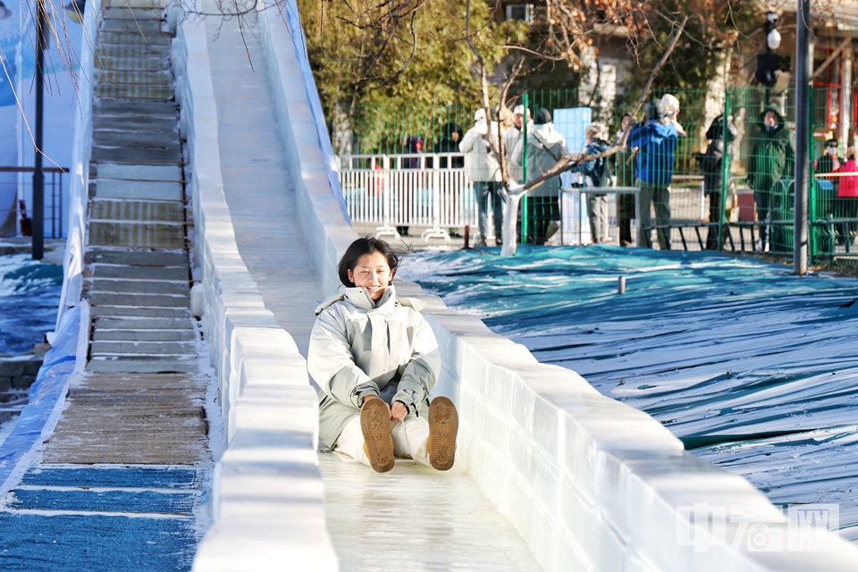 12月27日，“快乐冰雪 相约紫竹”紫竹院公园第八届欢乐冰雪季活动拉开帷幕。公园延续了2.7万平方米的雪场面积，并在保留深受市民喜爱的冰滑梯、雪上飞碟等经典冰雪娱乐项目的基础上，新增了雪地斗牛项目，还特别引入了企鹅观赏项目，为冰雪季增添了更多欢乐与趣味。陈硕 摄