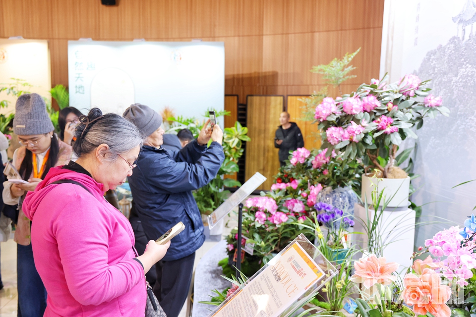 2025北京家庭園藝嘉年華暨年宵名花進(jìn)北京活動(dòng)現(xiàn)場(chǎng)。 陳碩 攝