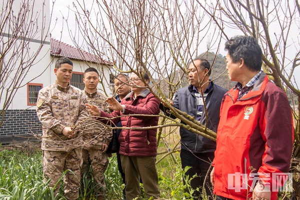 武警官兵与农业专家手把手教学。（张辰飞 摄）.jpg