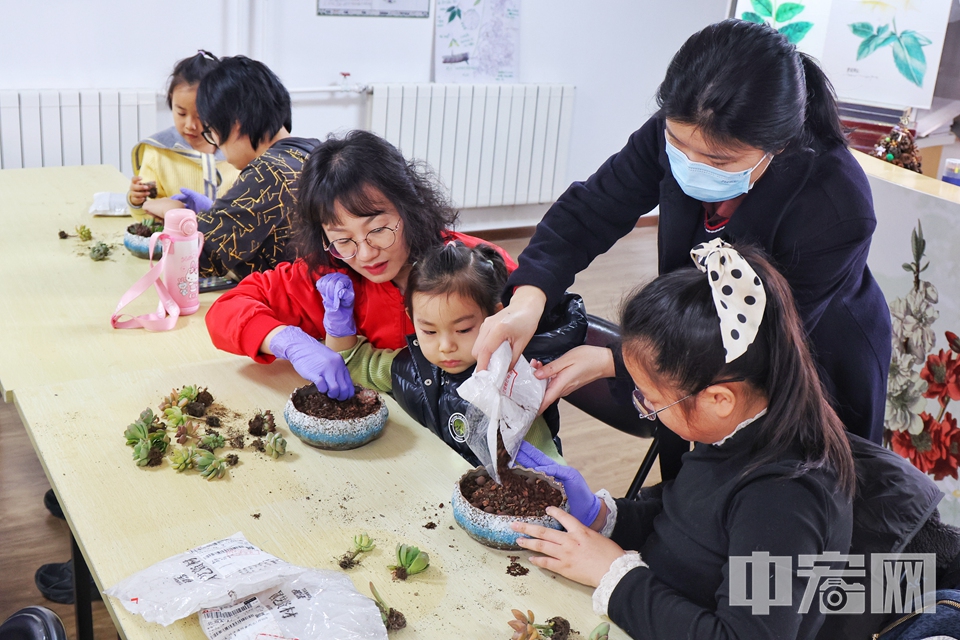 孩子們興致勃勃地挑選自己喜歡的多肉品種，親手將一株株小巧可愛的多肉植物種入花盆中。 陳碩 攝