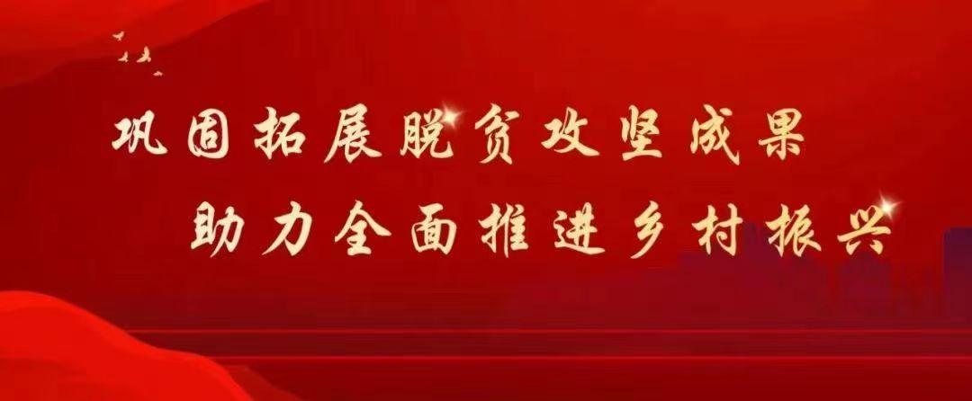 1-微信图片_20240620181817.jpg
