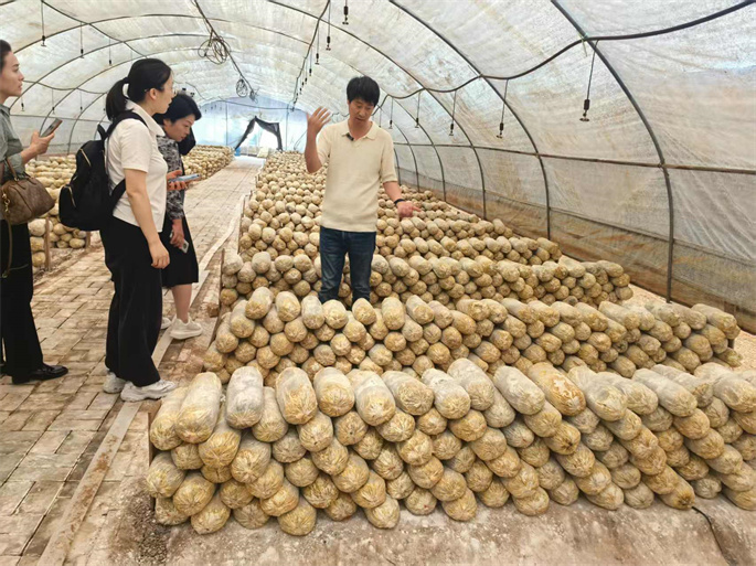 2-2微信图片_20250517164409 (1).jpg