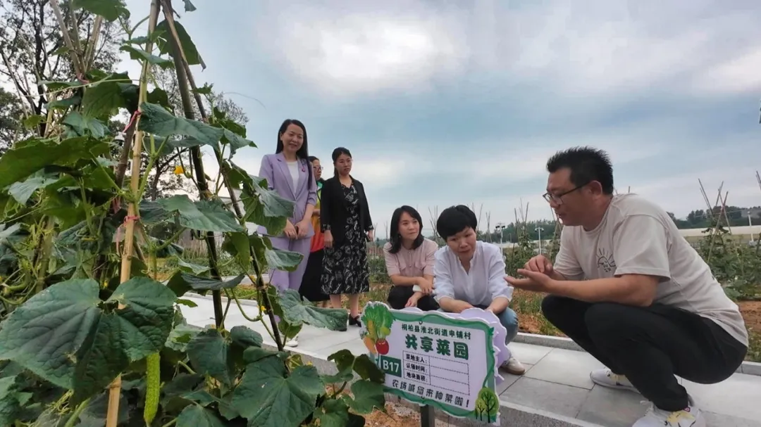 图片14.png