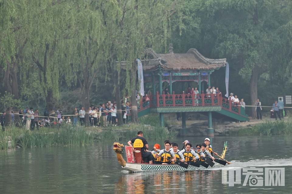 圓明園舉辦賽龍舟活動(dòng)。 陳碩 攝