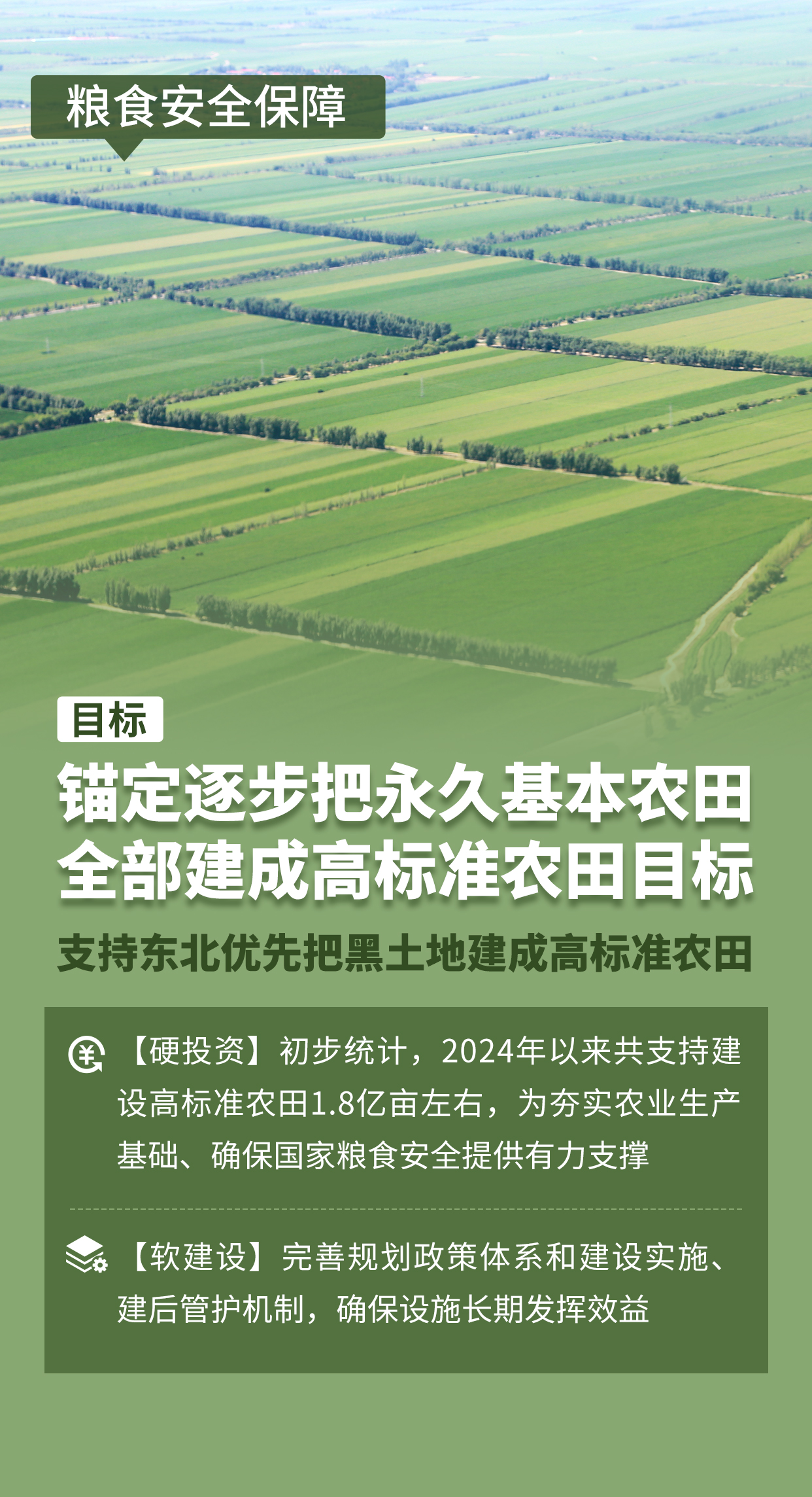 1高标准农田.jpg