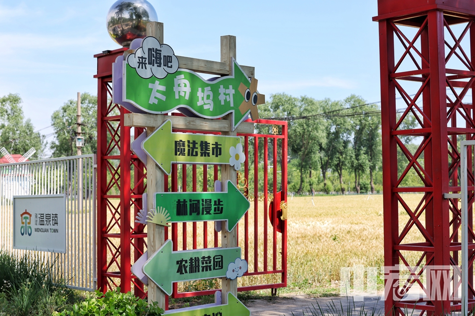 仲夏伊始，北京市海淀區太舟塢萬畝麥田已悄然披上金甲。湛藍的天幕下，綿延起伏的麥浪與游走的云影共舞，沉甸甸的麥穗在微風中沙沙作響，仿佛在吟唱屬于北方的豐收序曲。陳碩 攝