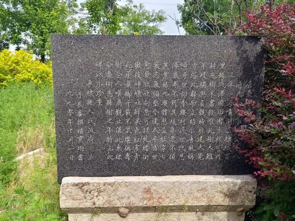 图片19.png
