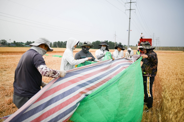 5.试验团队田间试验现场.jpg