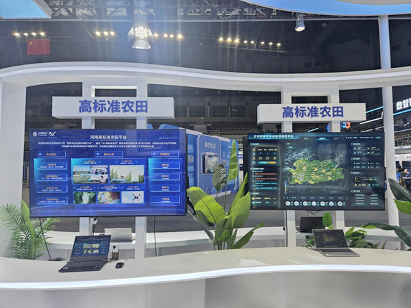 图片11.jpg