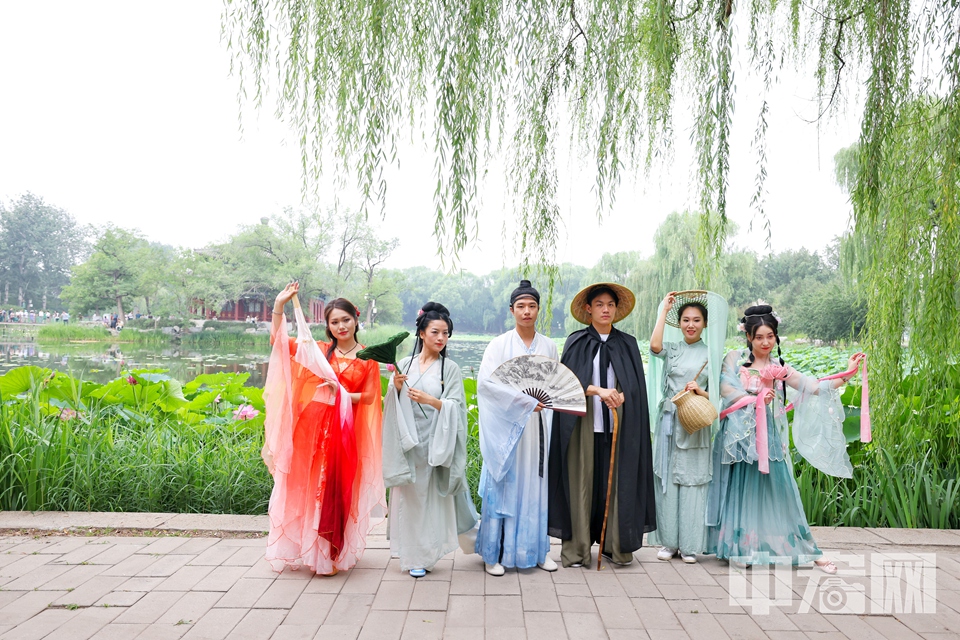 游客可在園內邂逅沉浸式演出，偶遇“荷花仙子”，讓音符、舞姿、荷花、微風在夏日共舞，赴一場荷花與藝術的、活力與浪漫的盛宴。 陳碩 攝