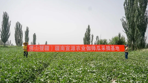 伽師瓜基地.jpg