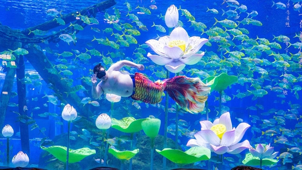 图片21.jpg