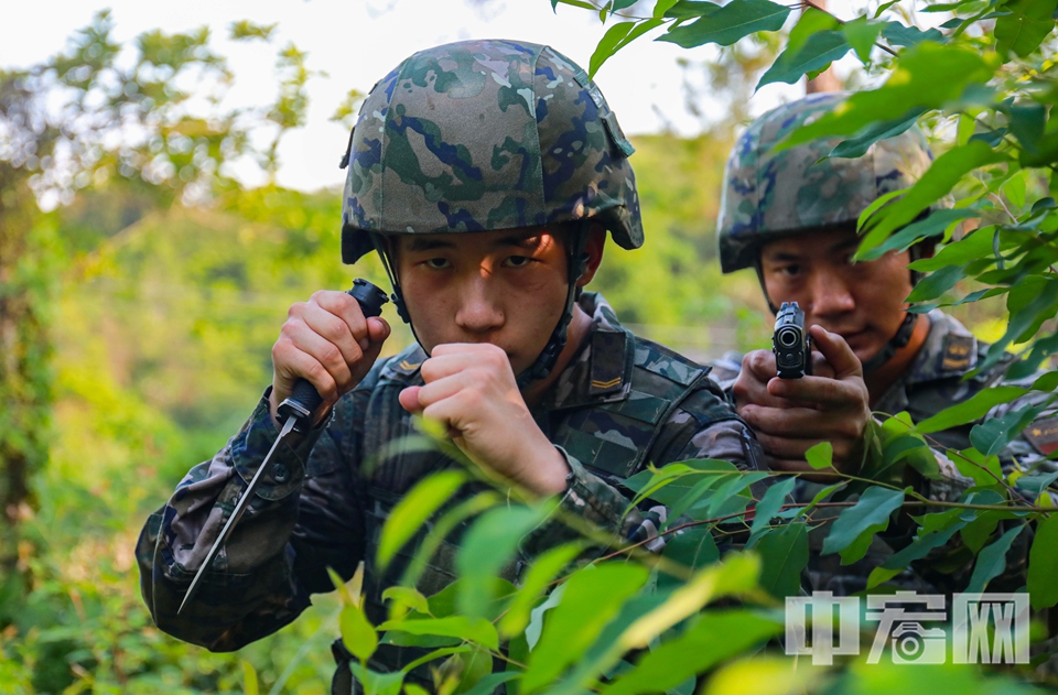 近日，武警廣西總隊欽州支隊緊貼任務實際，依托山林地陌生環境，組織官兵開展山林地捕殲戰斗訓練，重點對隱蔽偵查、戰斗搜索、戰術協同、快速追擊等課目進行專攻強訓，全方位錘煉官兵在陌生環境下實戰能力，為遂行多樣化任務打下堅實的基礎。 王超智 攝