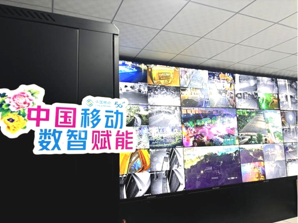 图片16.jpg