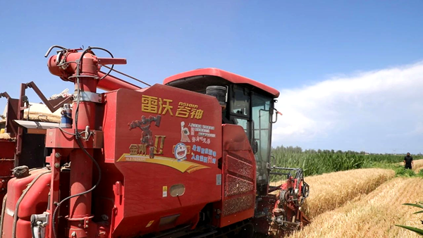 图片2.png