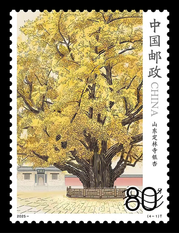 微信图片_20250713112117.jpg